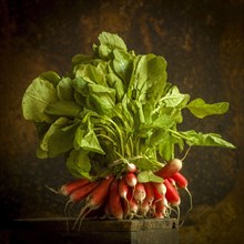 Close-up of fresh radishes