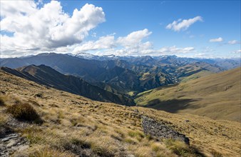 Hiking trail to Ben Lomond