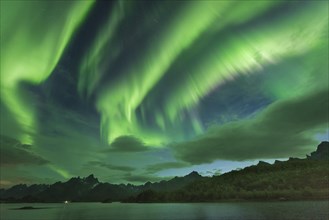 Northern lights over the fjord