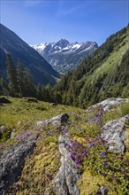 Mountain landscape