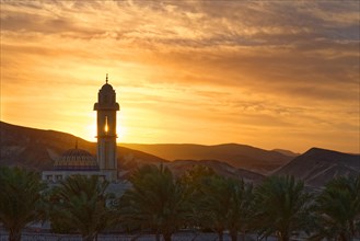 Mosque with palm trees at sunset at Malikia Resort Abu Dabbab