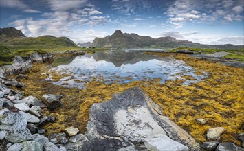 Fjord landscape at low tide