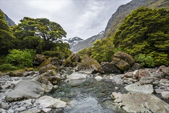 River with rocks along the trail