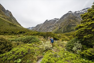 Hiker on trail to Gertrude Saddle