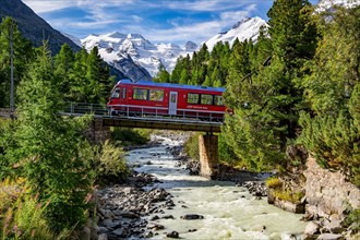 Train of the Bernina line in the Morteratsch valley with Bellavista and Piz Bernina