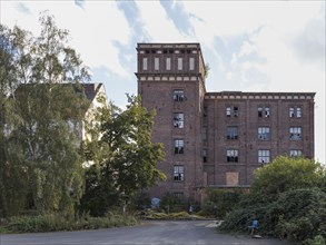 Kassel Oat Cocoa Factory