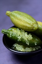 Australian finger lime
