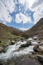 Mountain stream Rio Valdeinfierno