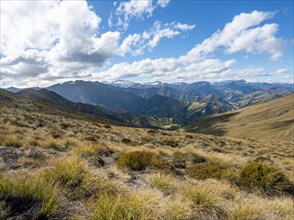 Hiking trail to Ben Lomond