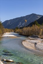 Natural riverbed of the upper Isar in front of the Sylvenstein reservoir