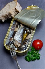 Sardines in opened tin with fork