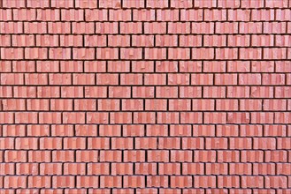 Wall
