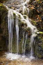 Harnbacher waterfall