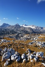 View to the High Dachstein
