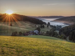 Morning idyll in the Upper Black Forest