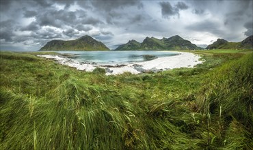 White sandy beach and lush green meadow in front of green mountain peaks near Flakstad