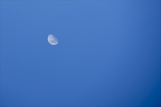 Waning crescent in the daytime sky