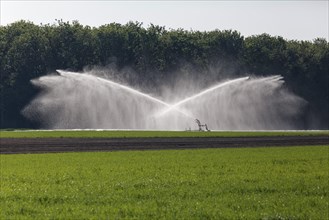 Irrigation machine irrigates a field in spring