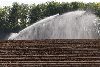Irrigation machine irrigates a field in spring