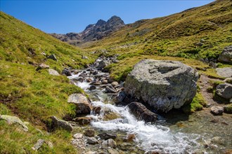 Mountain stream in the Languard Valley