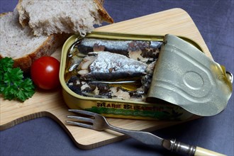 Sardines in opened tin with fork