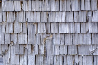 Old wooden shingles