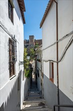 Alley with view of the towers of the Alhambra