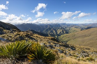 Hiking trail to Ben Lomond