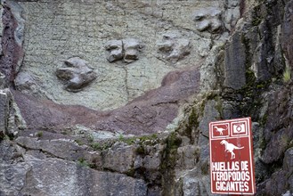 Dinosaur tracks in a vertical rock face