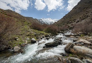 Mountain stream Rio Valdeinfierno