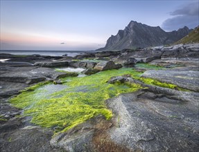 Rock formations with tidal pools and green sea grass at the coast