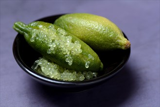 Australian finger lime