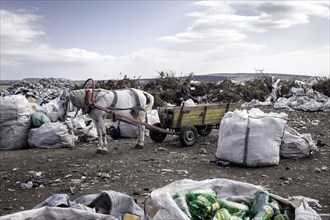 Garbage collector on a garbage dump near Yambol