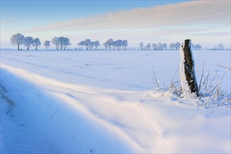 Winter day in the snowy Feldmark