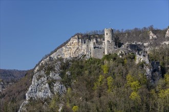 Castle ruin Neu Falkenstein