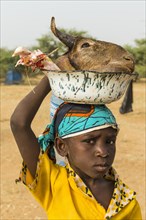 Young boy with goat hat in a pot