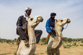 Tuaregs on their camels