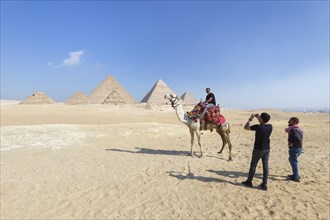 Camel riding at the pyramid complex