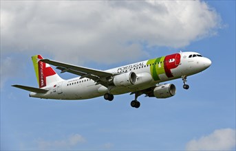 Airbus A320-214 of the airline TAP Air Portugal on approach to Geneva Airport