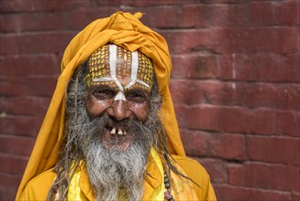 Portrait of a Hindu Sadhu
