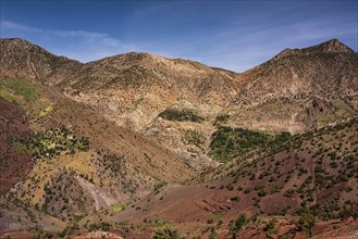 Mountain landscape with sparse vegetation in the High Atlas