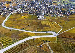 Hairpin bend of a country road runs through the autumn vineyards in the Valais wine growing region of Leytron