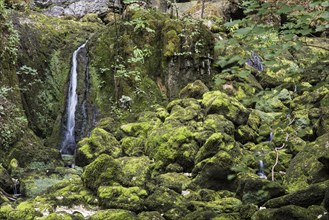 Small waterfall on moss-covered stones