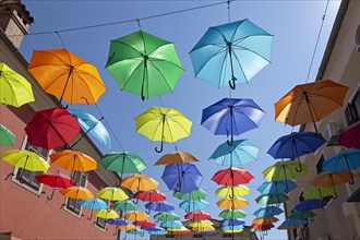 Colourful umbrellas suspended over a street