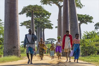 People on Baobab Alley
