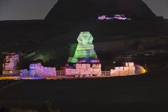 The great sphinx during the sound and light show
