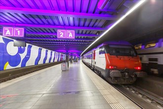 InterRegio train at Zurich Airport