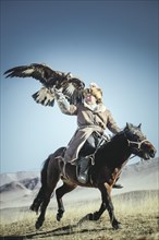 Bashakhan Spai trains with his eagle