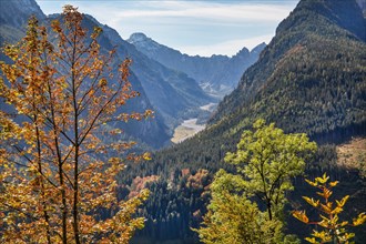 Wimbachtal with Wimbachgries and Palfelhorn