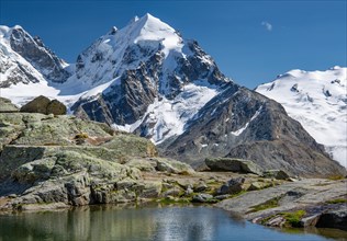 Small mountain lake on Fuorcla Surlej with Piz Roseg